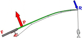 Caa de pescar