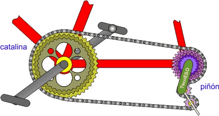 Cadena_pin