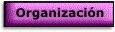 ir a Organización de la información