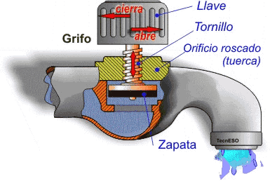 Grifo