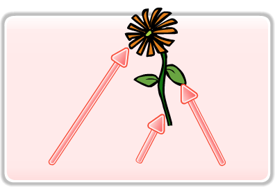 Una margarita con flechas. 3 flechas que señalan, pétalos, hojas y tallo