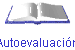 Autoevaluacin