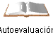 Autoevaluacin