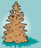 Árbol afectado por la lluvia ácida