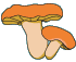 Champiñón