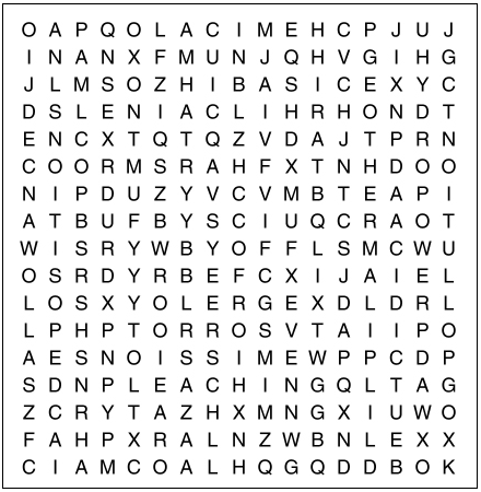 Word Search