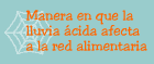 Manera en que la lluvia ácida afecta a la red alimentaria