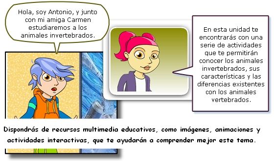 Bienvenida Bienvenida