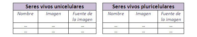 Ejemplo de tabla de registro para seres vivos unicelulares y pluricelulares Ejemplo de tabla de registro para seres vivos unicelulares y pluricelulares