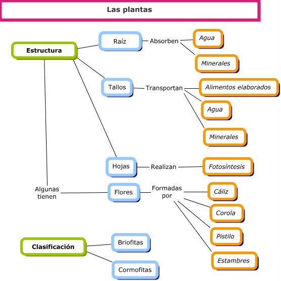 Mapa conceptual