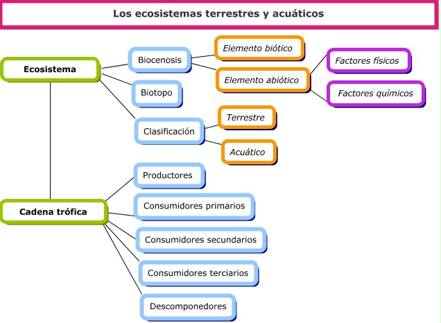 Mapa conceptual