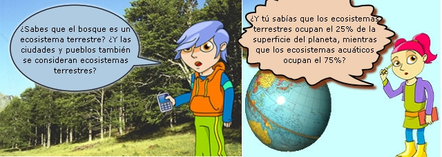 Un paseo por el campo Un paseo por el campo
