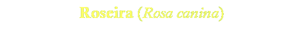 Roseira