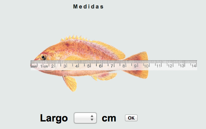 Medimos peces
