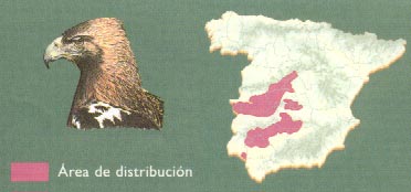 donde-viven-aguilas