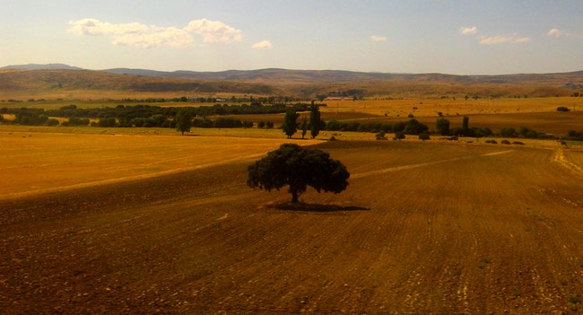 clima mediterraneo continental