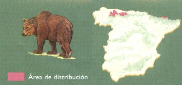 donde-viven-osos