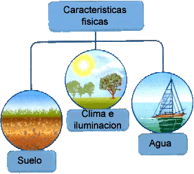 características