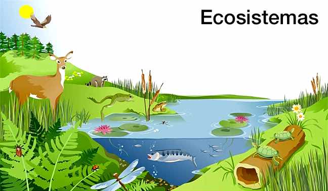 ecosistemas