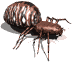 gif animado ara&ntilde;a