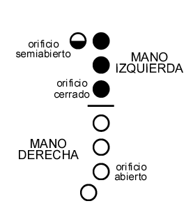 Gr�fico de digitaci�n