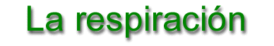La respiraci�n