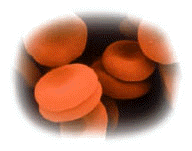 Glbulos rojos o Eritrocitos