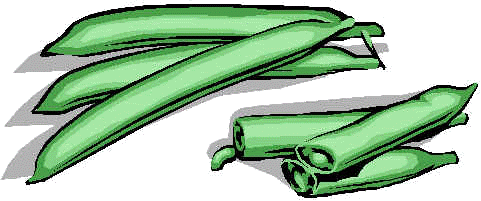 Judas verdes
