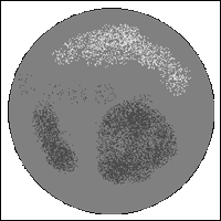 pluton_200.gif (17013 bytes)