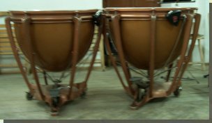 timbal