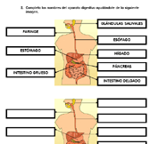 Ficha de atención a la diversidad