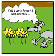 Scene: The dog steps on the flowers. The dog: "What a tasty flowers, I will taste them..."