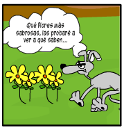 Escena: Un perro se acerca a las flores recién plantadas. Bocadillo del perro: ¡Qué flores más sabrosas las probaré a ver a qué saben..."