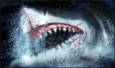 Los mortferos dientes de un tiburn son su arma para conseguir su alimento.