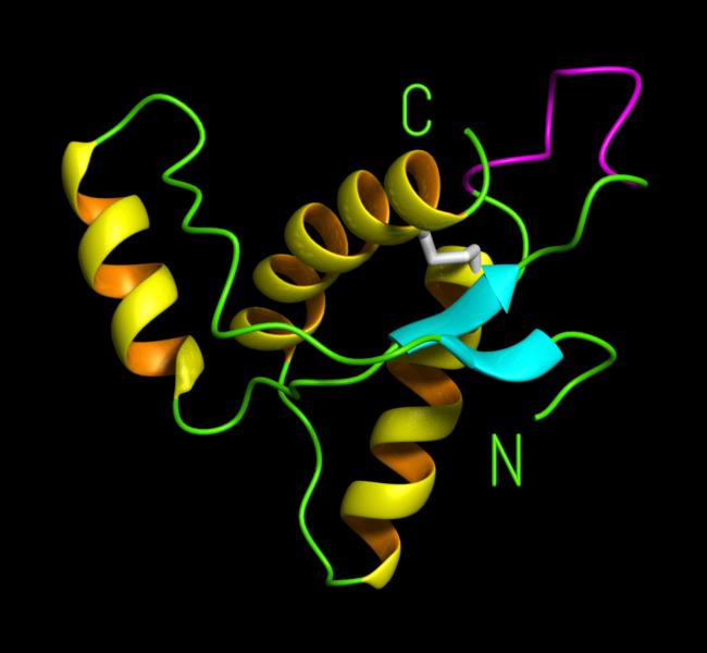 Reconstruccin digitalizada de un prion responsable del mal de las vacas locas. Tomada de www.mol.biol.ethz.ch