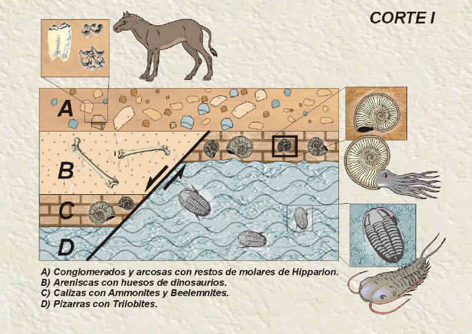 corte.jpg