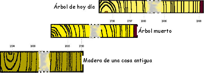 Dendrocronolog&iacute;a. Tomada de suse00.su.ehu.es