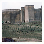 Castillo de Montealegre de Campos (Valladolid) (siglos XIII-XIV). María J. Fuente (col. particular, 2001)
